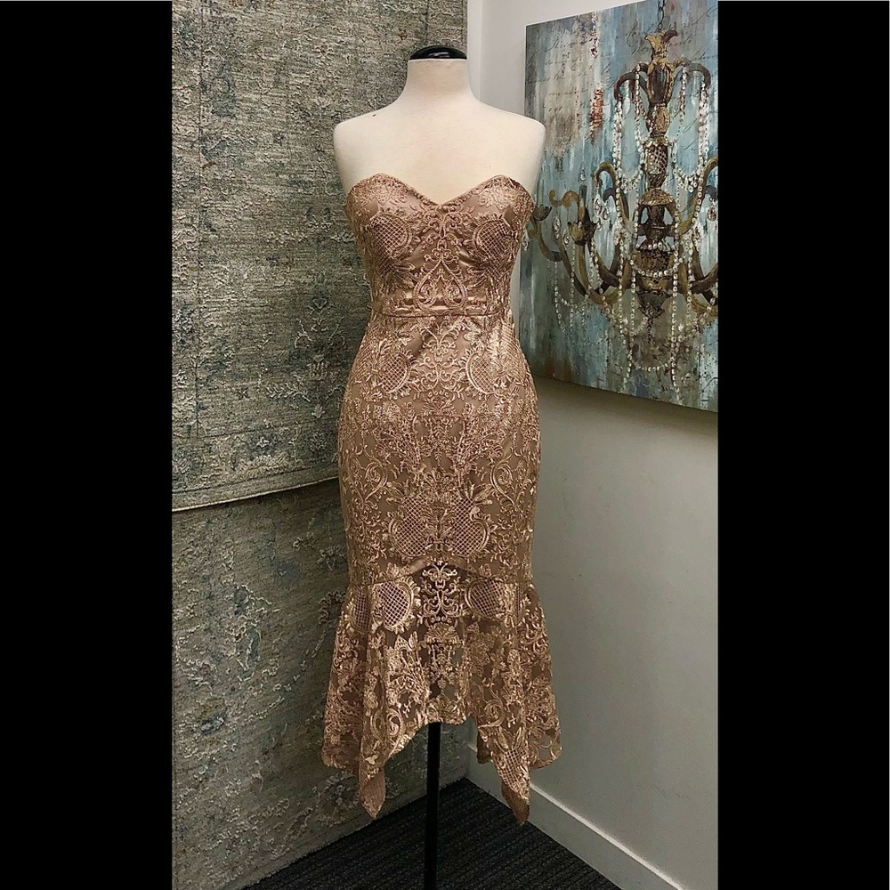 Bariano Rhodolite Gown